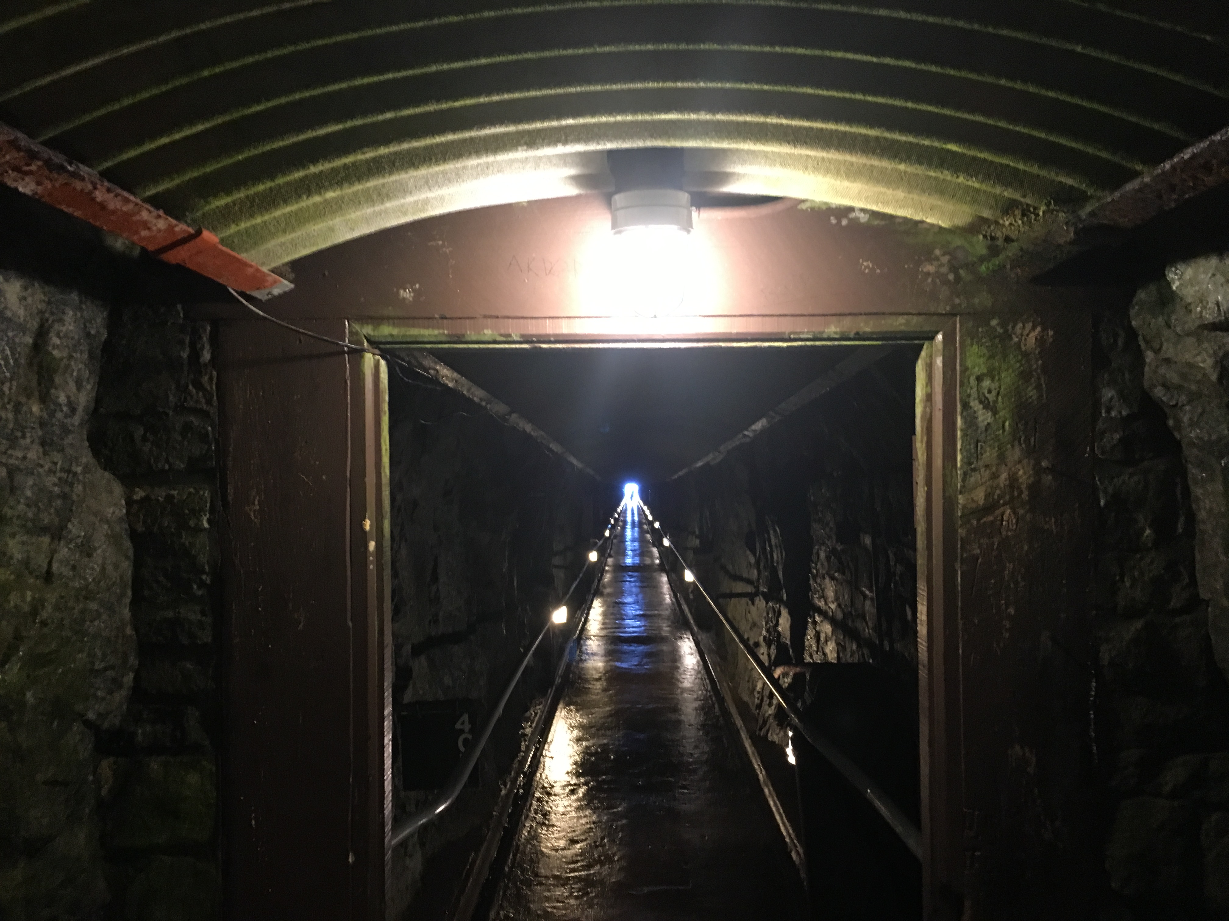 Whiteface elevator to reopen Saturday News, Sports, Jobs Adirondack